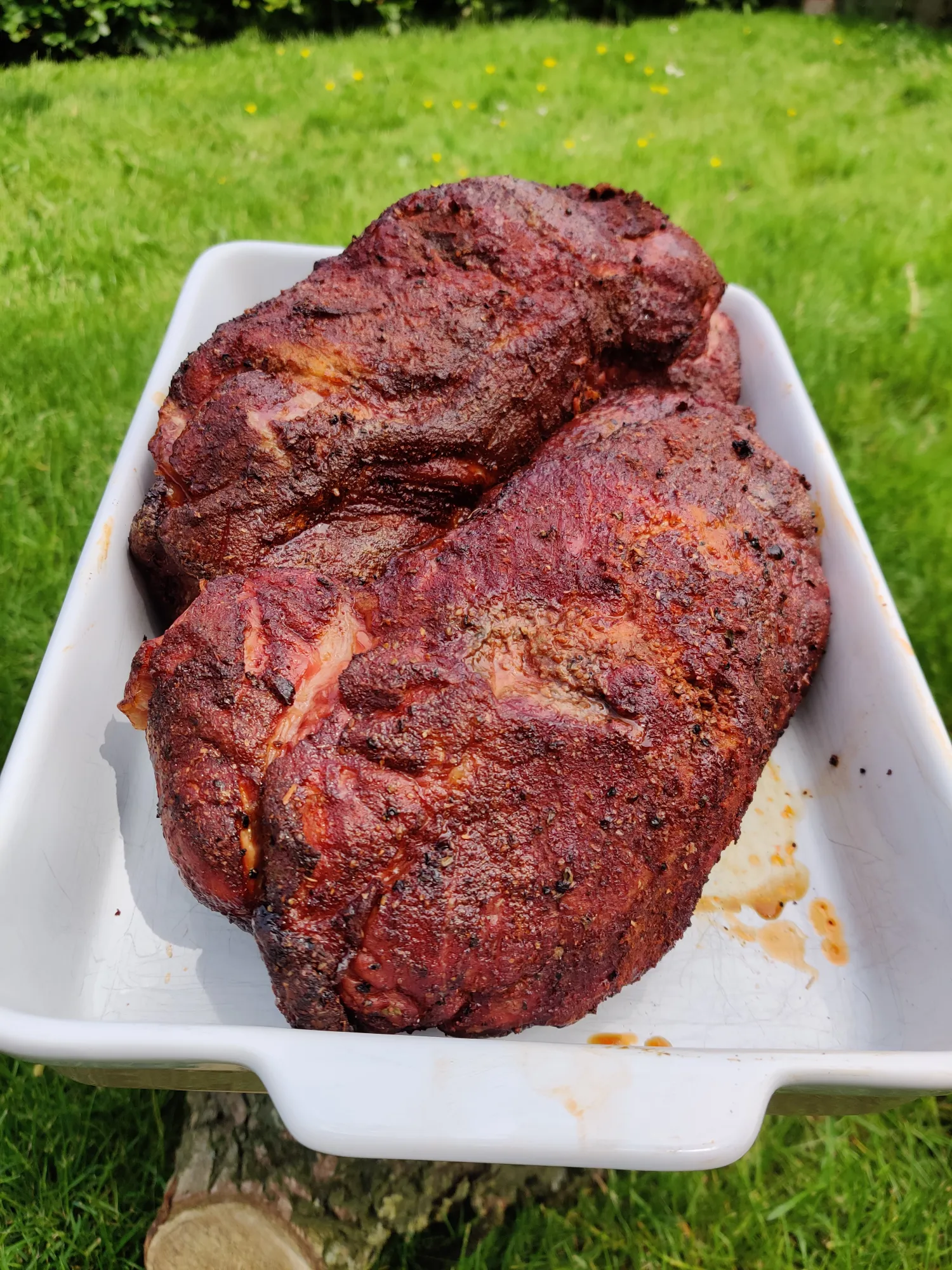 Twee procureurs met donkere bark in ovenschaal — net van de BBQ