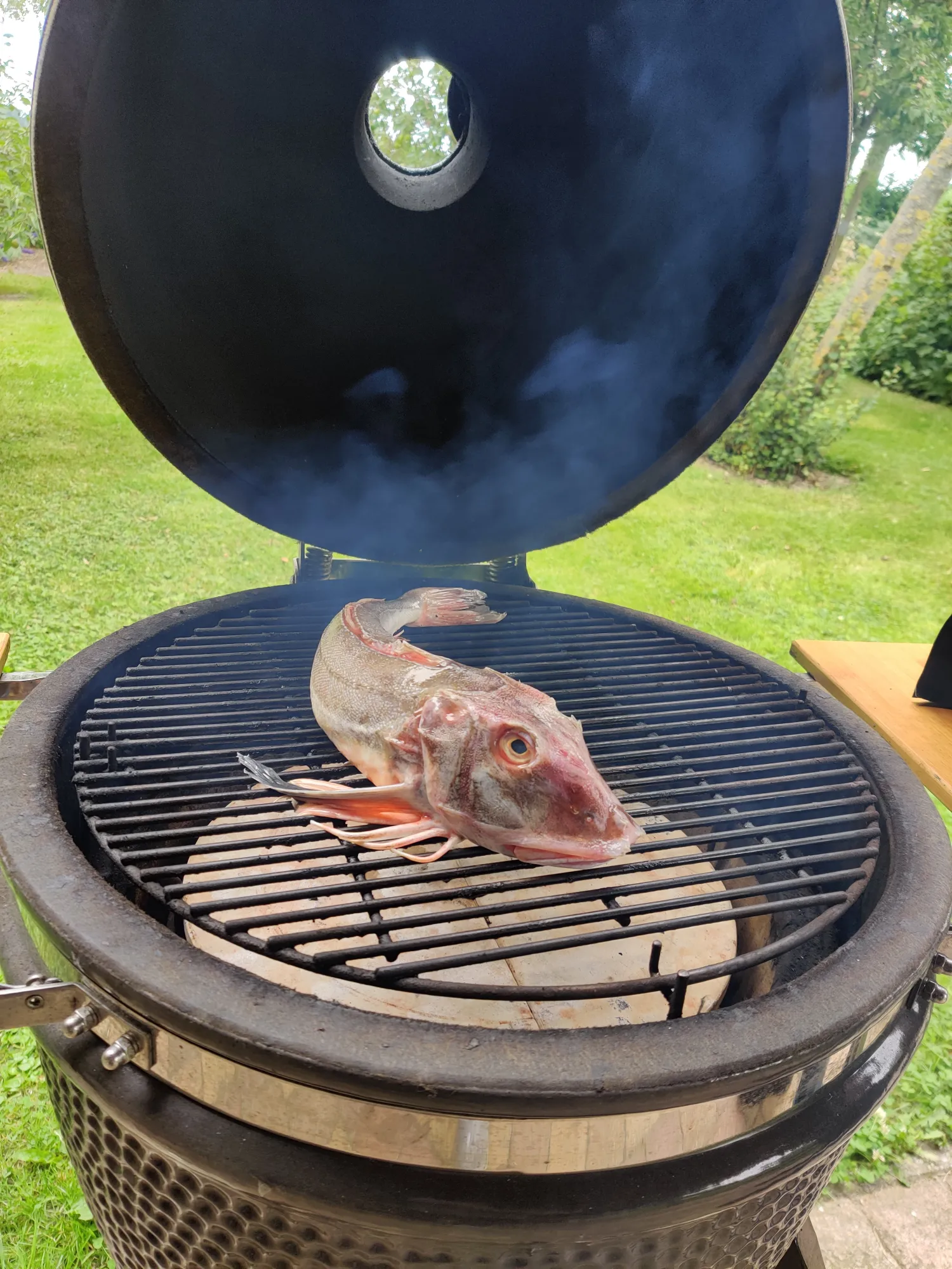 Dorade en rode poon op de BBQ